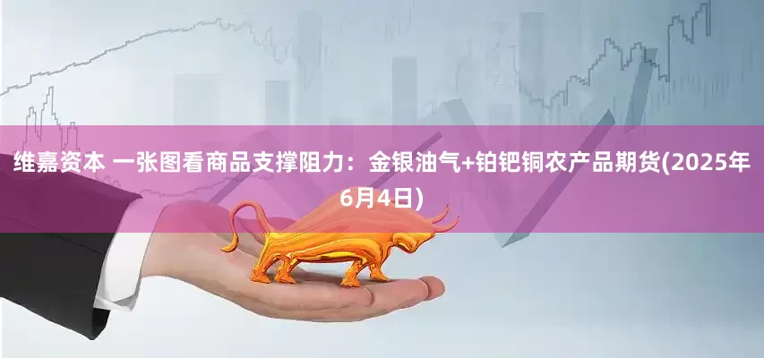 维嘉资本 一张图看商品支撑阻力：金银油气+铂钯铜农产品期货(2025年6月4日)