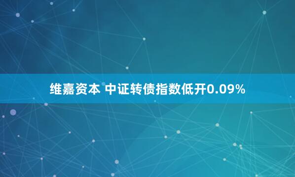 维嘉资本 中证转债指数低开0.09%